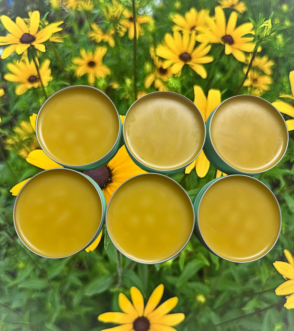 The Herbal Gentleman Beard Balm