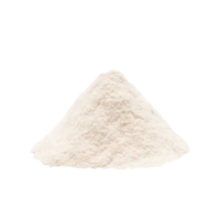 Organic, Non-GMO Sourdough Starter | Freeze Dried |  12gm